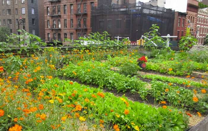 CSAs for busy people in Brooklyn