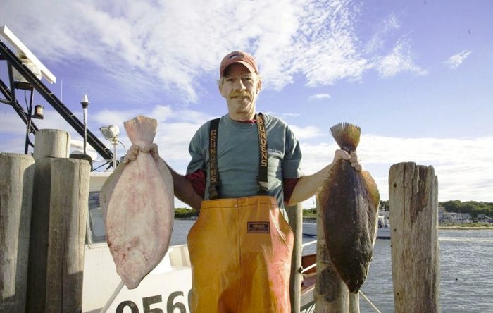 Sustainable Seafood Delivery System to Chefs