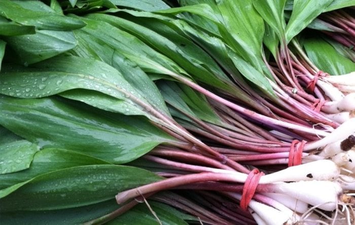 Pick up your spring greens at the farmer's market this spring.