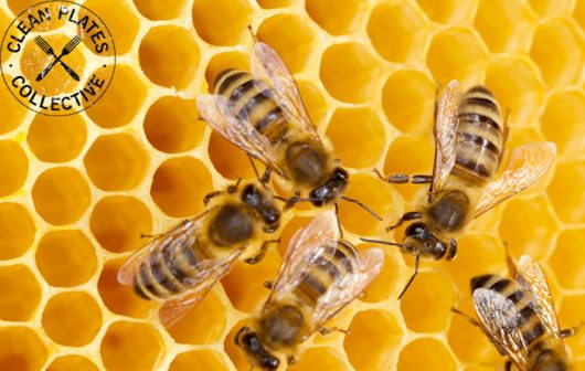 Sustainably raised honey