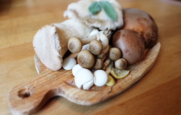 Assortment of mushrooms