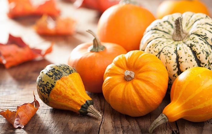 Pumpkin recipes for fall