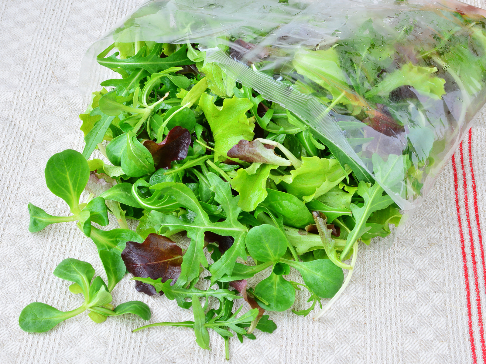 opened bag of salad greens