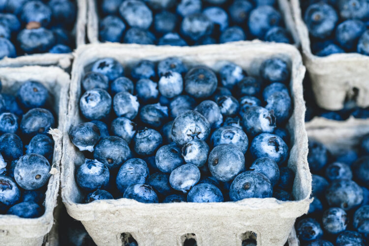 containers of fresh blueberries