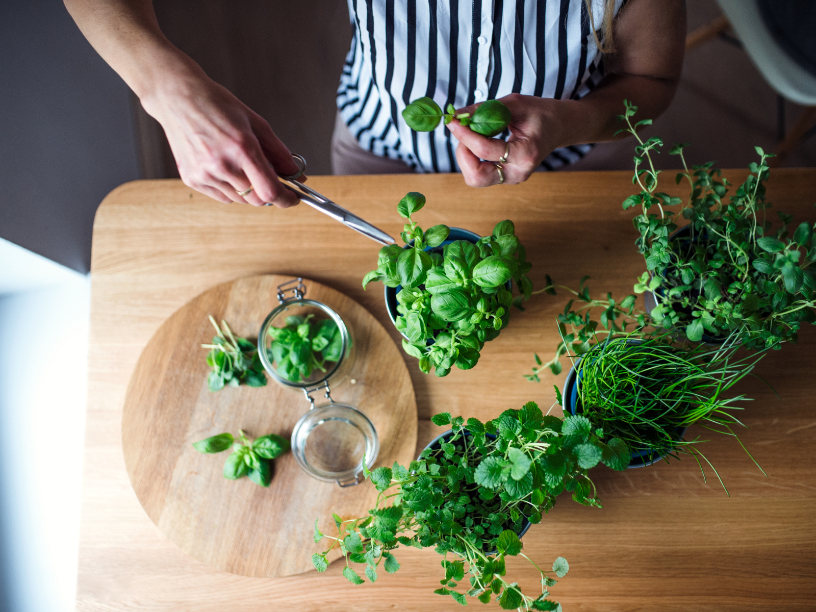 cook cutting fresh herbs in an apron