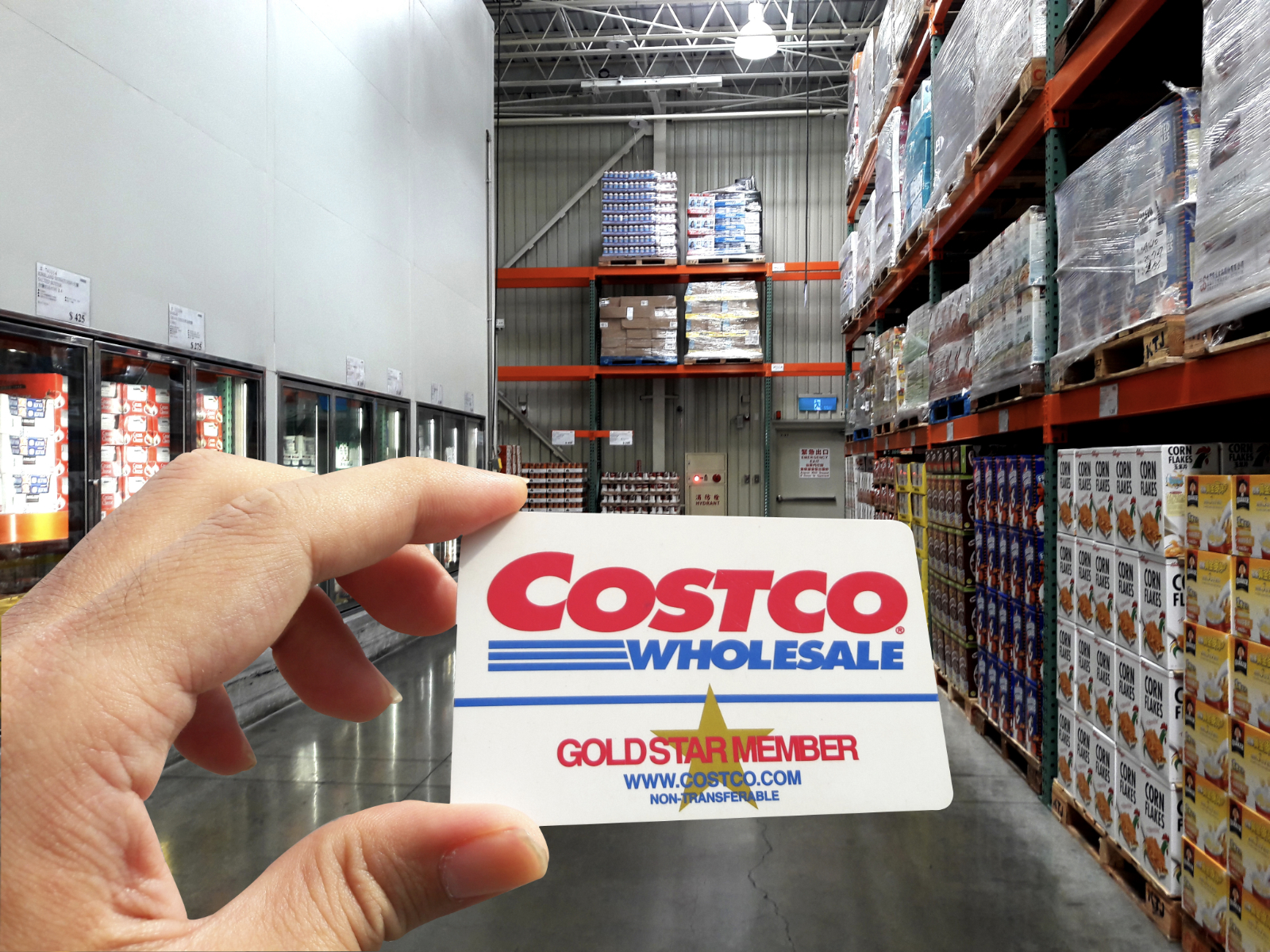 customer holding costco card in store