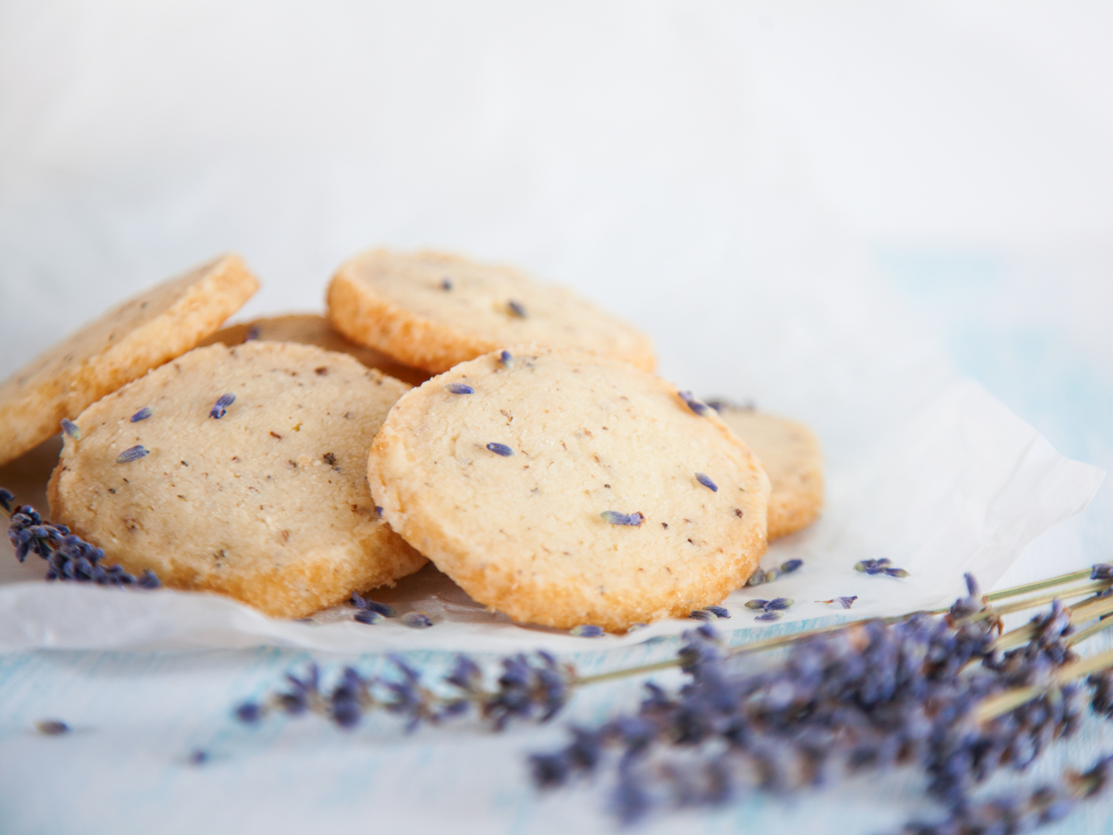 lavender shortbread cookies on a plate