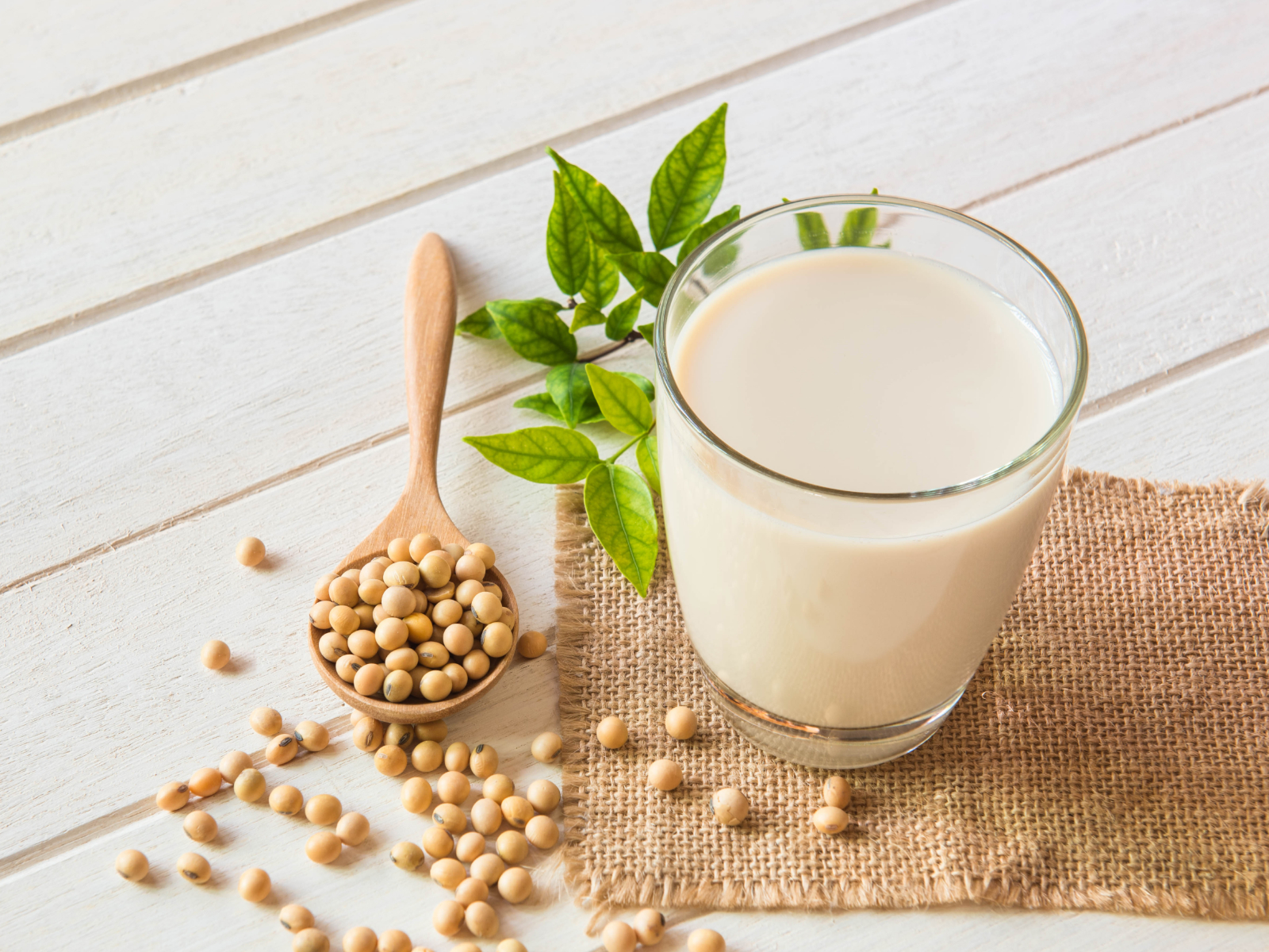 soy milk in a glass next to soy beans and a soy plant