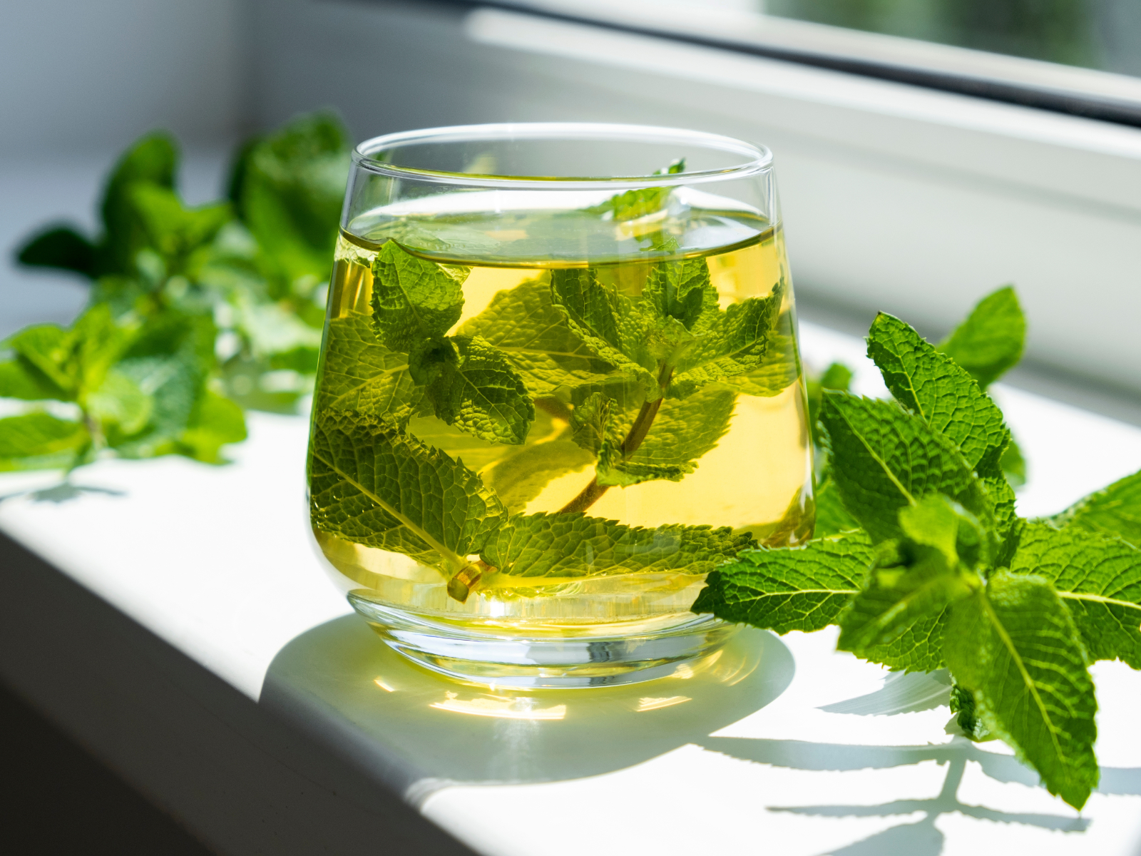 cup of cool peppermint tea with mint leaves