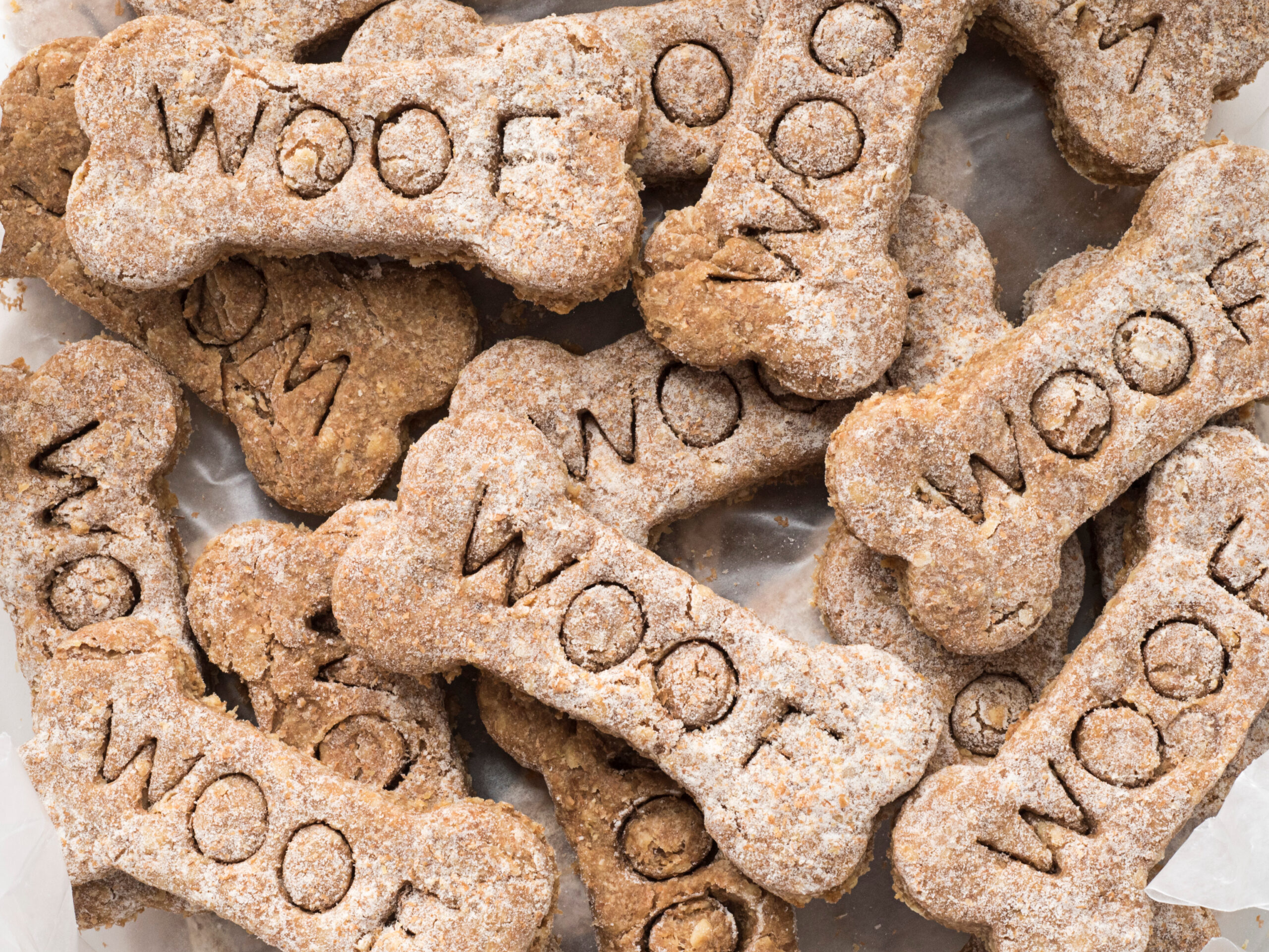 Apple-Cinnamon Oatmeal Dog Treats 