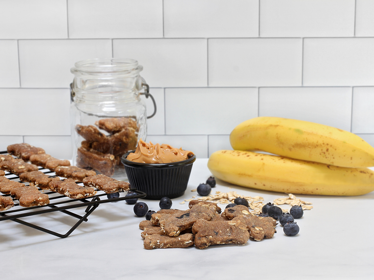 Homemade Blueberry and Banana Dog Biscuits 