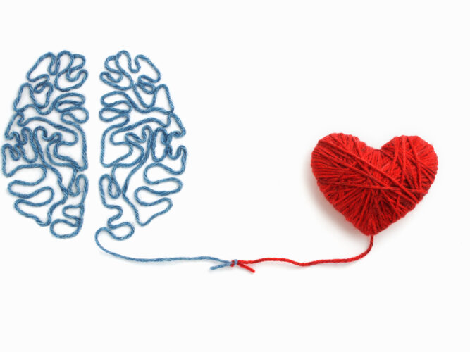 brain and heart health