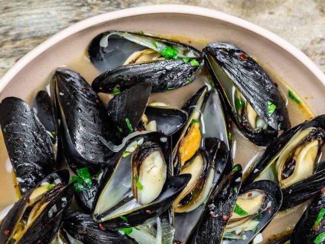 Mussels in white wine broth